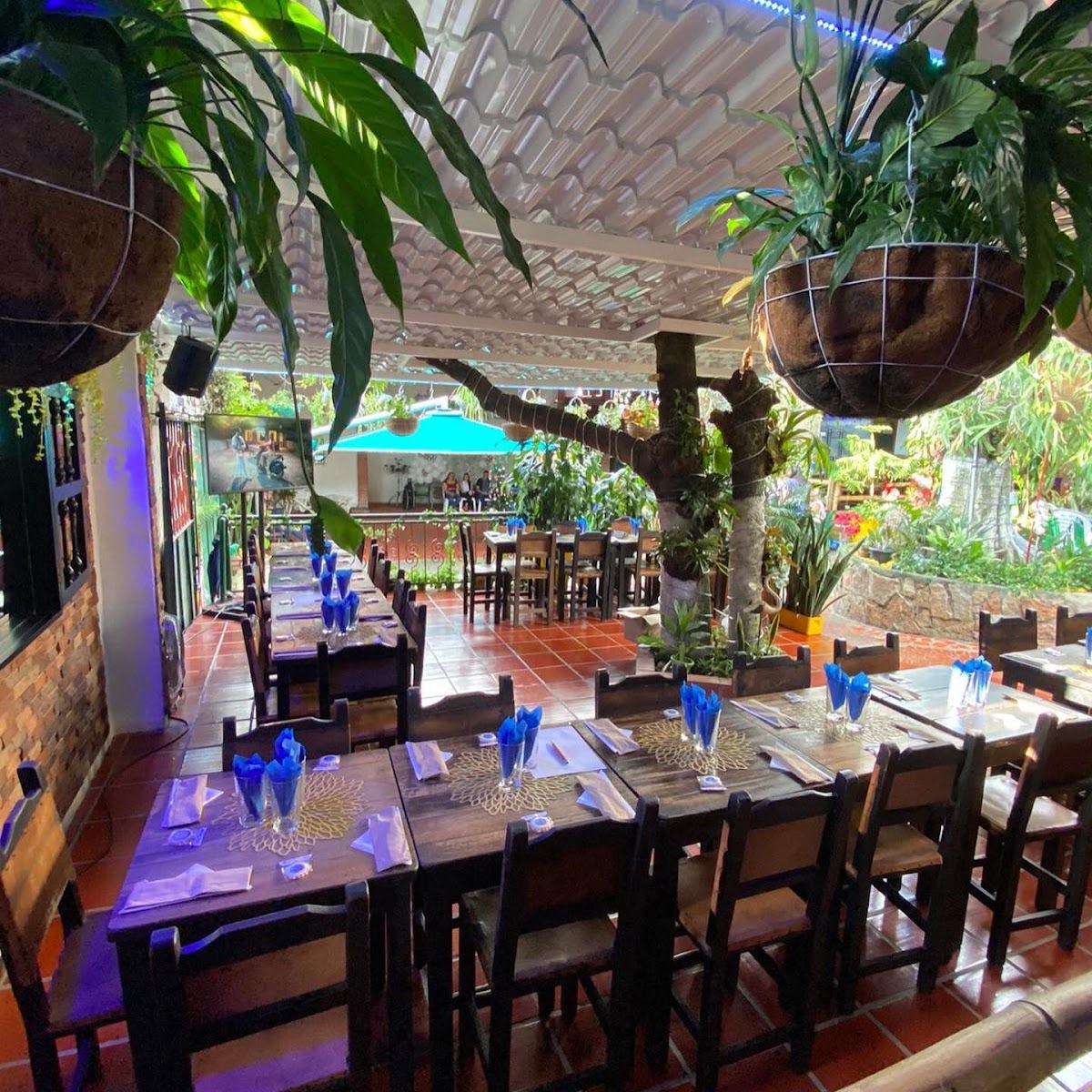 Restaurante Típico Palo 'e' Mango